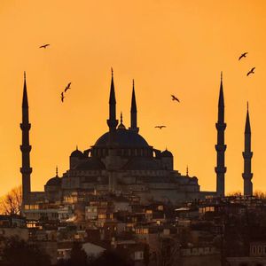 海鸣馆80部熊片ed2k微博
